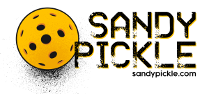 Sand Pickleball by Sandy Pickle